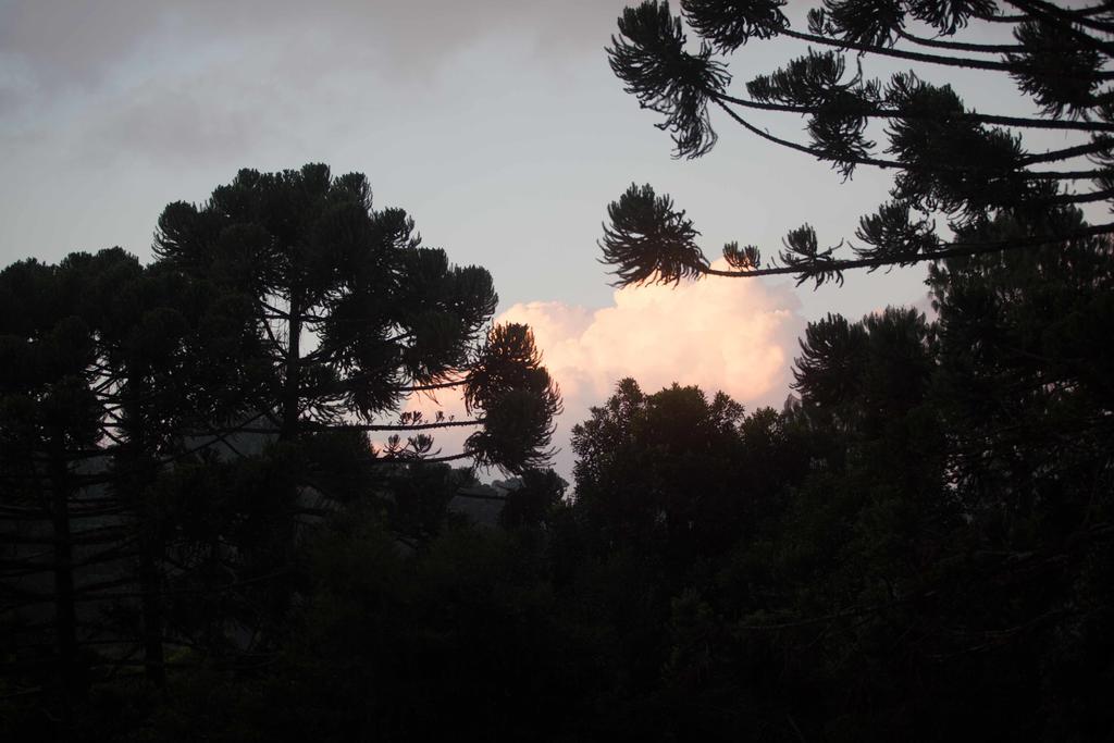 Pousada Sonho Verde Monte Verde  Eksteriør bilde